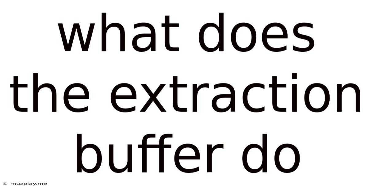 What Does The Extraction Buffer Do