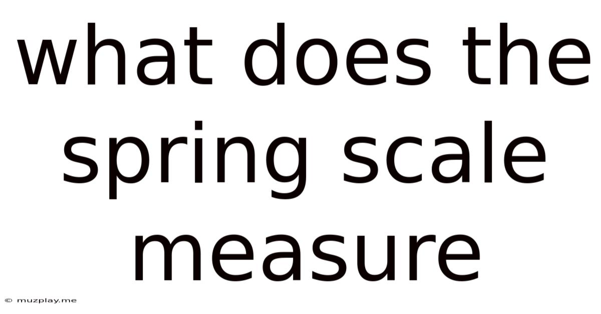 What Does The Spring Scale Measure