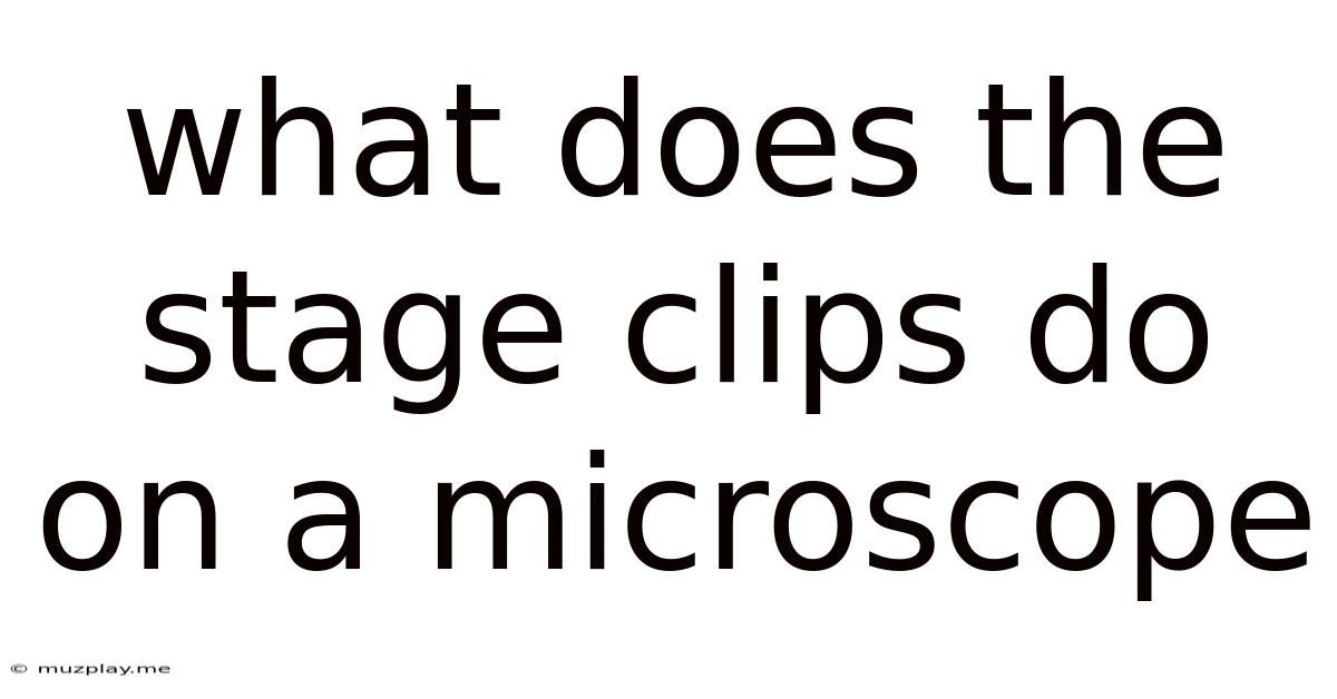 What Does The Stage Clips Do On A Microscope