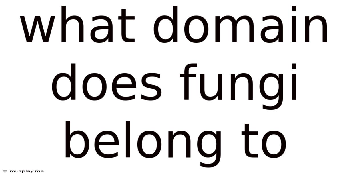 What Domain Does Fungi Belong To