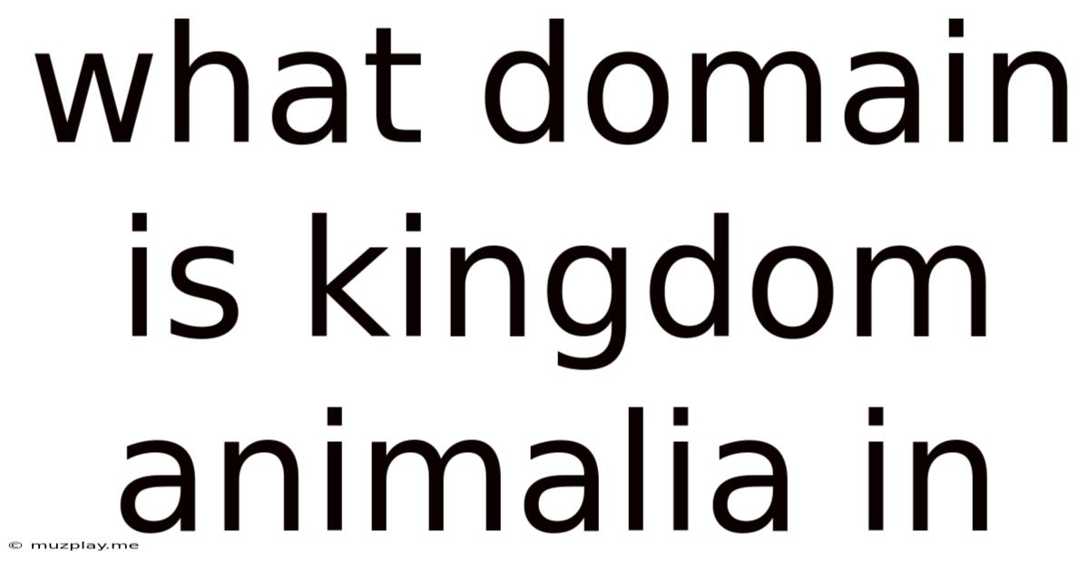 What Domain Is Kingdom Animalia In