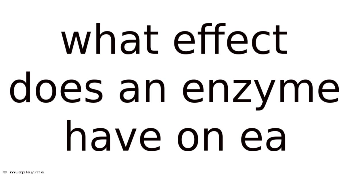 What Effect Does An Enzyme Have On Ea