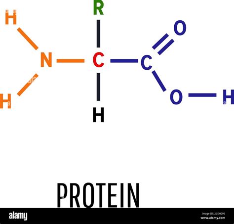 What Element Is Found In Proteins