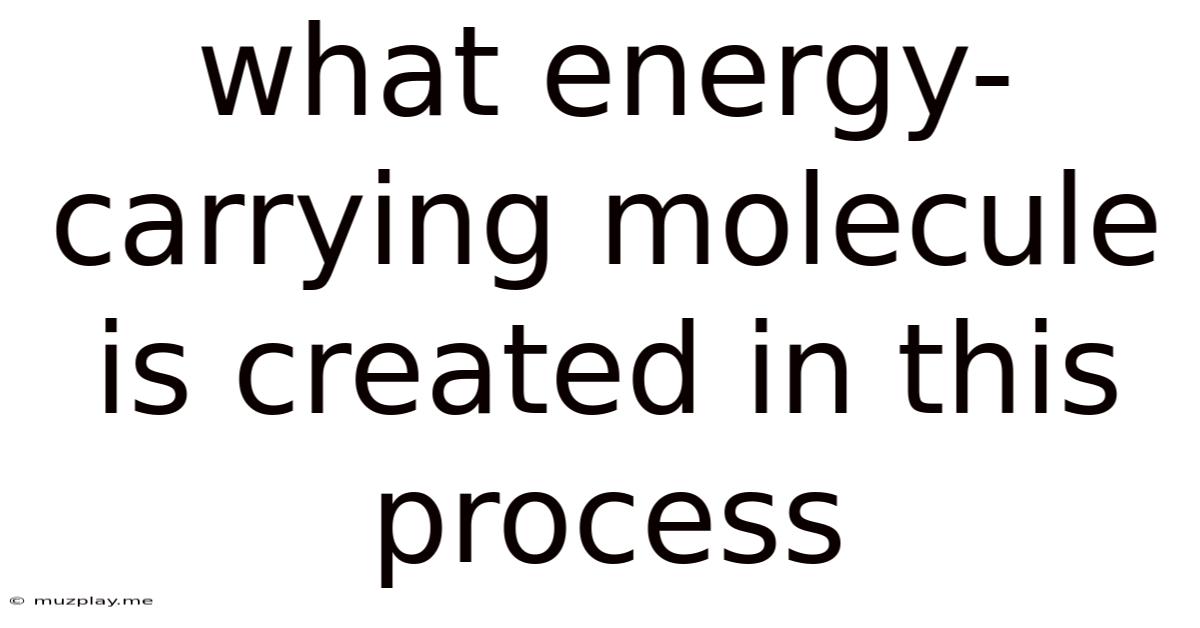 What Energy-carrying Molecule Is Created In This Process