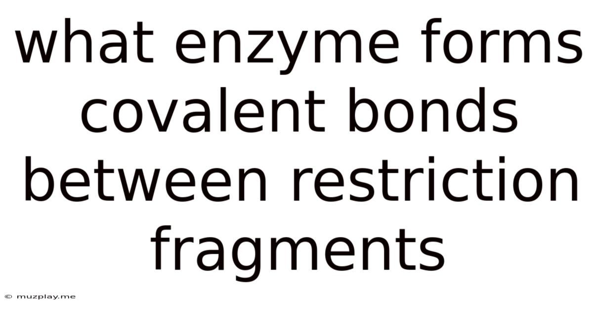 What Enzyme Forms Covalent Bonds Between Restriction Fragments