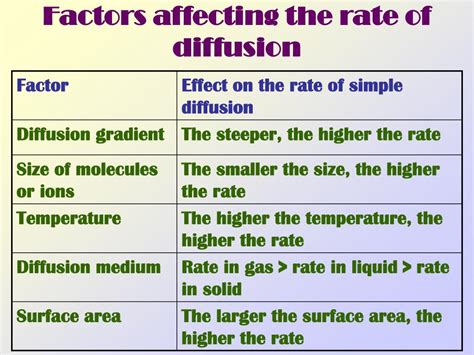 What Factors Influence The Rate Of Diffusion