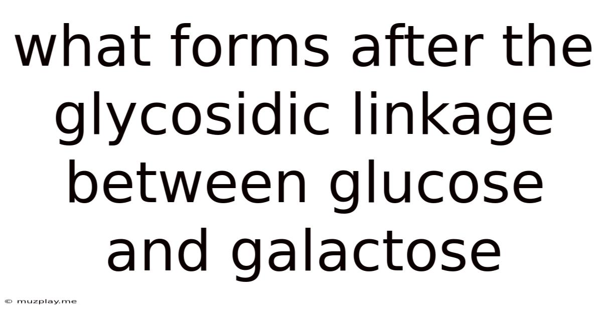 What Forms After The Glycosidic Linkage Between Glucose And Galactose