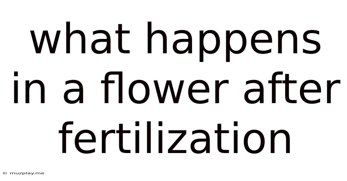 What Happens In A Flower After Fertilization