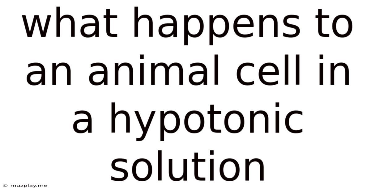 What Happens To An Animal Cell In A Hypotonic Solution