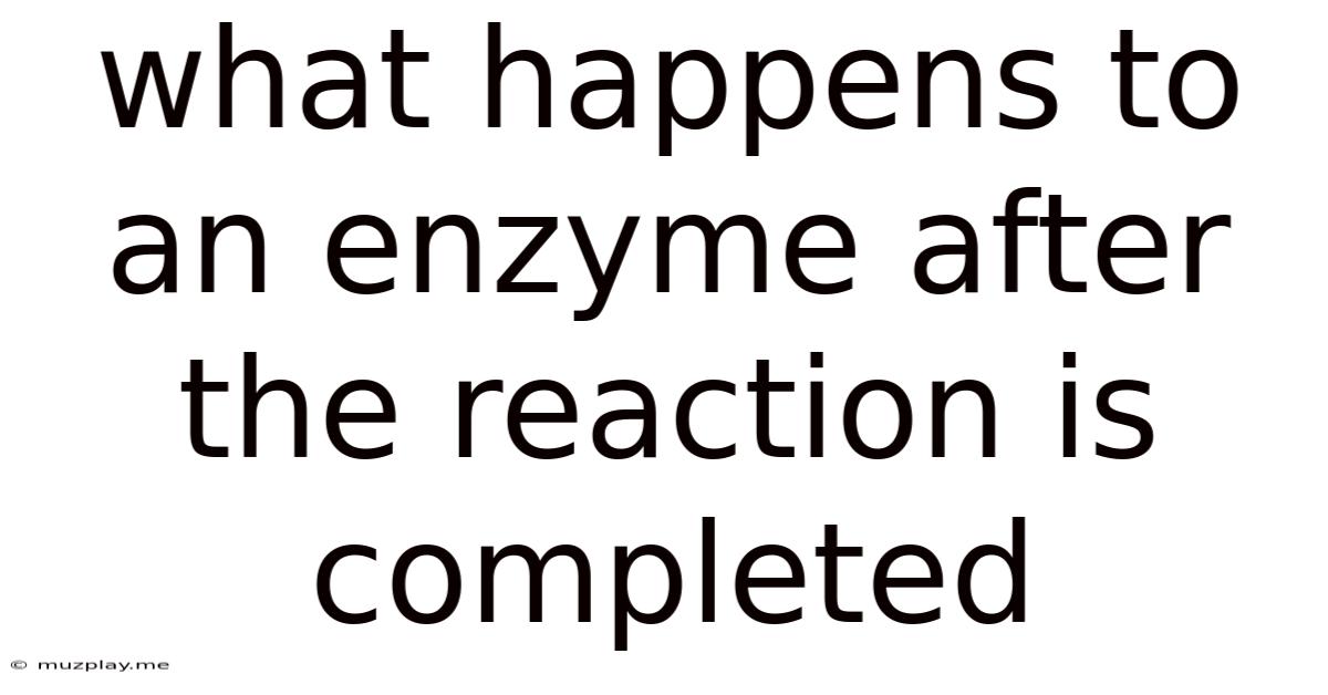 What Happens To An Enzyme After The Reaction Is Completed