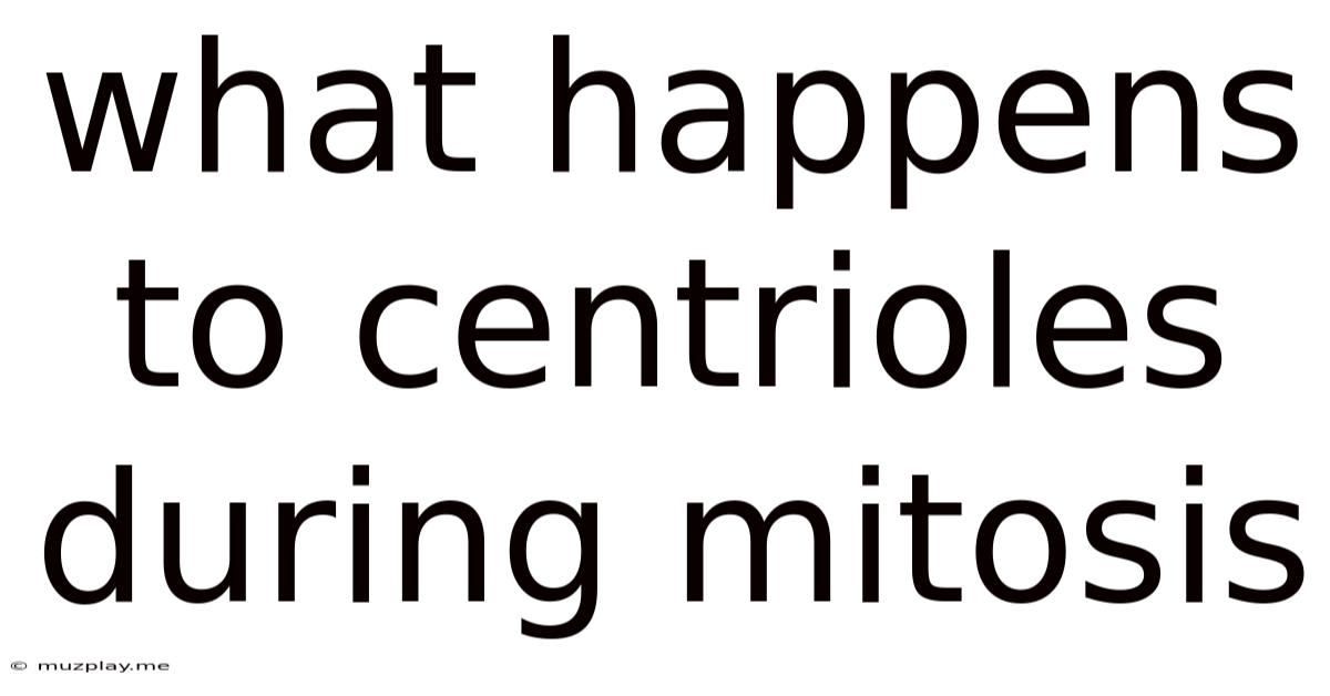 What Happens To Centrioles During Mitosis