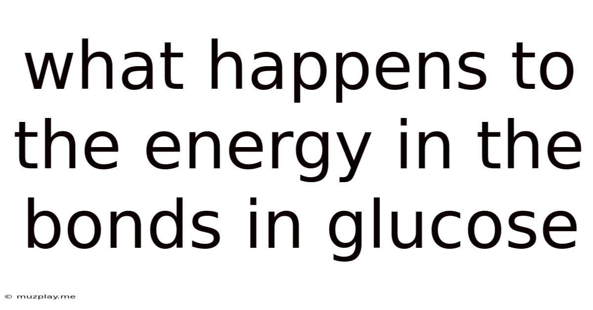 What Happens To The Energy In The Bonds In Glucose