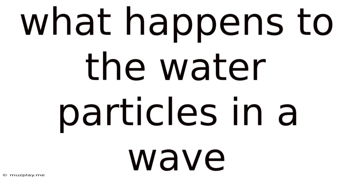 What Happens To The Water Particles In A Wave