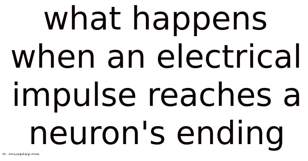 What Happens When An Electrical Impulse Reaches A Neuron's Ending