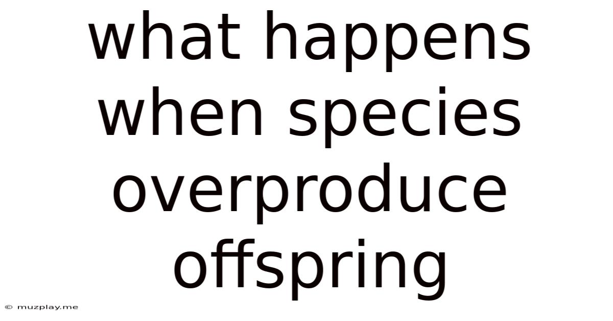 What Happens When Species Overproduce Offspring