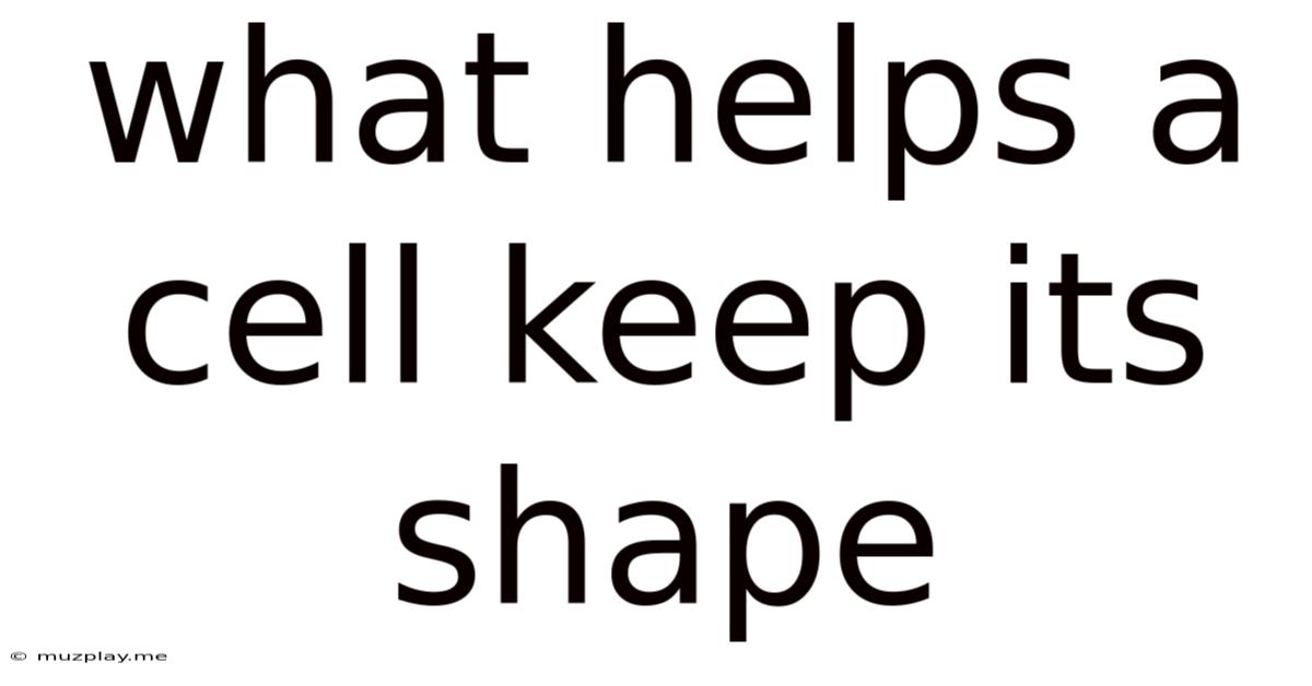 What Helps A Cell Keep Its Shape