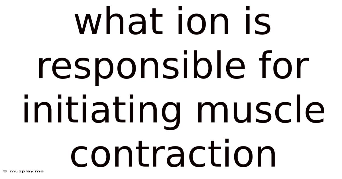 What Ion Is Responsible For Initiating Muscle Contraction