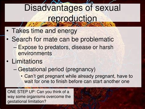 What Is A Disadvantage Of Sexual Reproduction