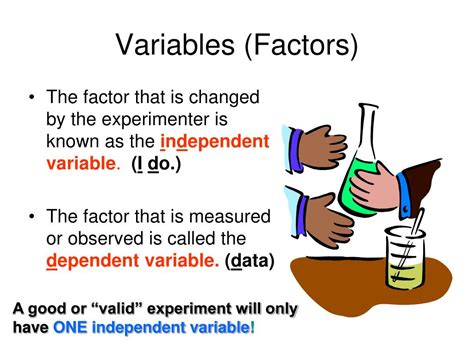 What Is A Factor In An Experiment