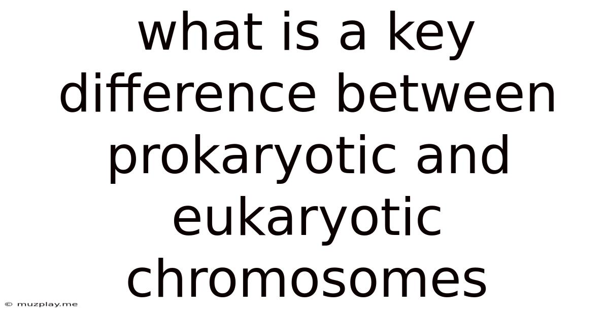 What Is A Key Difference Between Prokaryotic And Eukaryotic Chromosomes