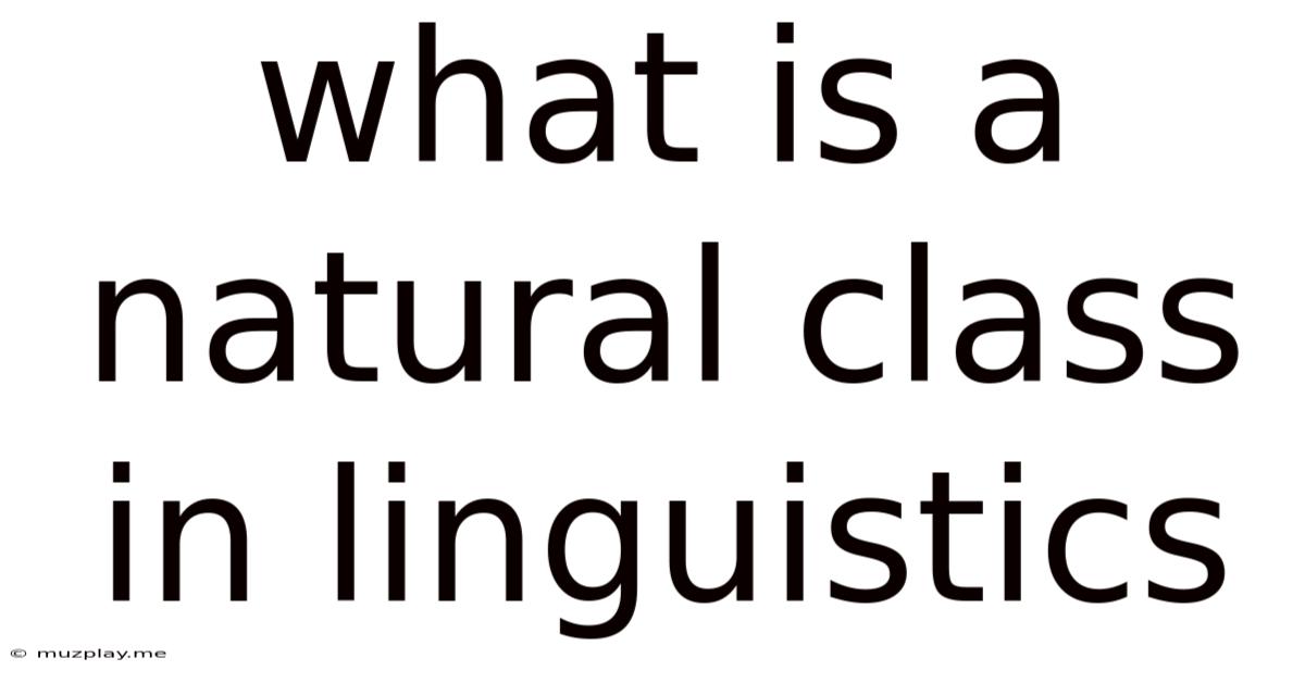 What Is A Natural Class In Linguistics