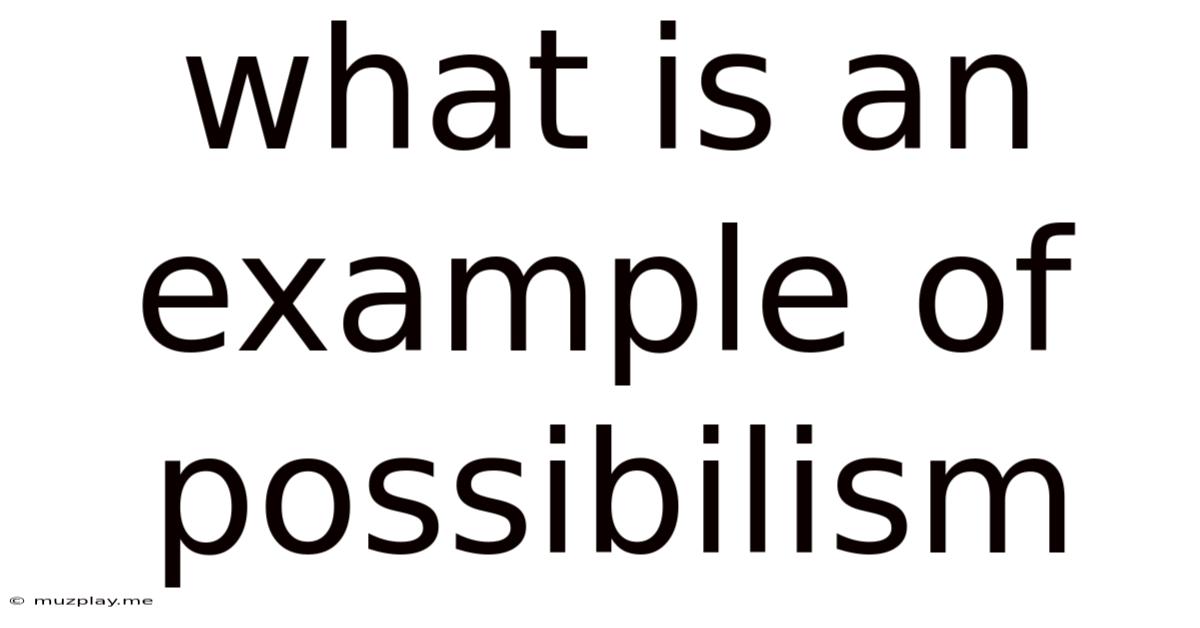 What Is An Example Of Possibilism
