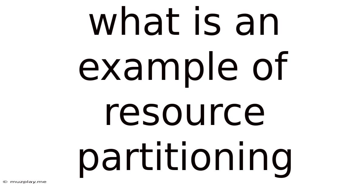 What Is An Example Of Resource Partitioning