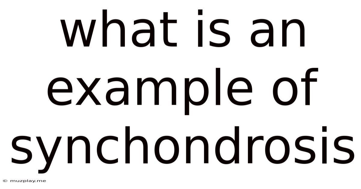 What Is An Example Of Synchondrosis