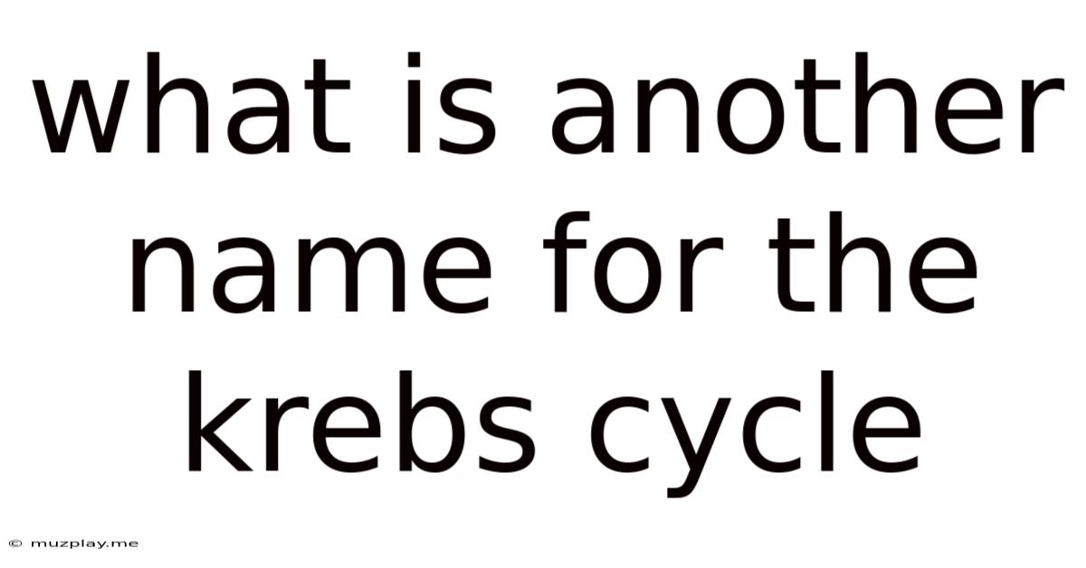 What Is Another Name For The Krebs Cycle