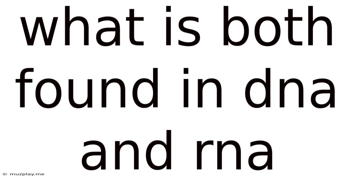 What Is Both Found In Dna And Rna