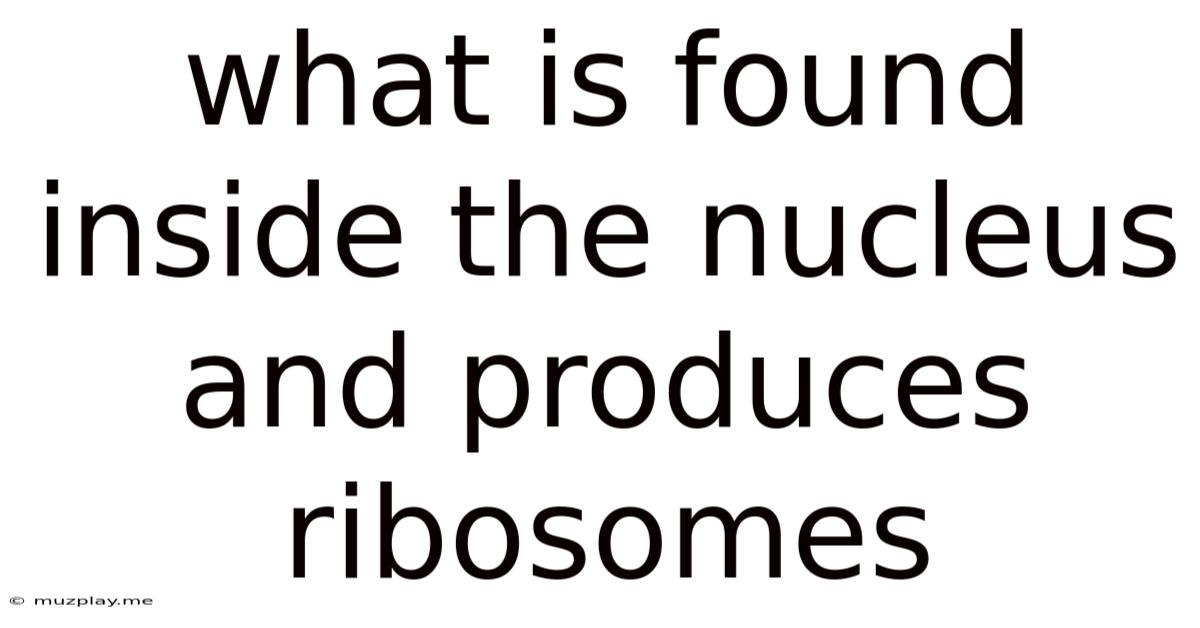 What Is Found Inside The Nucleus And Produces Ribosomes