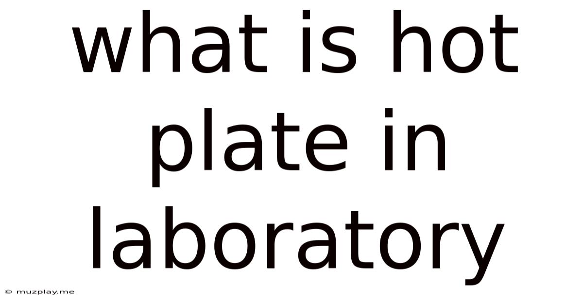 What Is Hot Plate In Laboratory