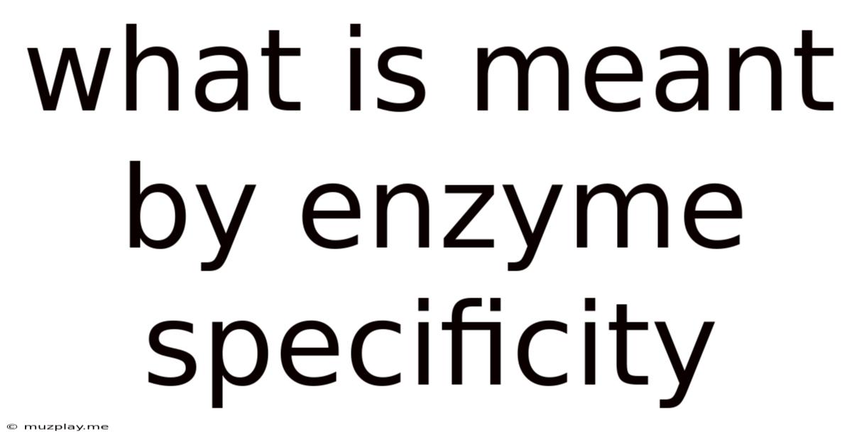 What Is Meant By Enzyme Specificity