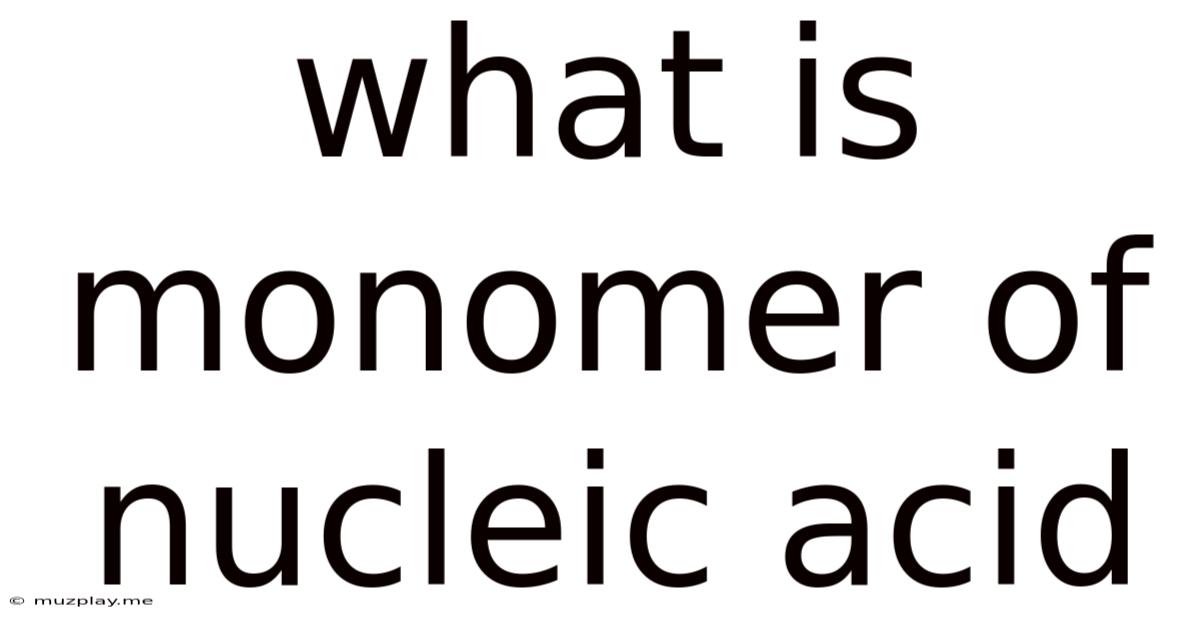 What Is Monomer Of Nucleic Acid