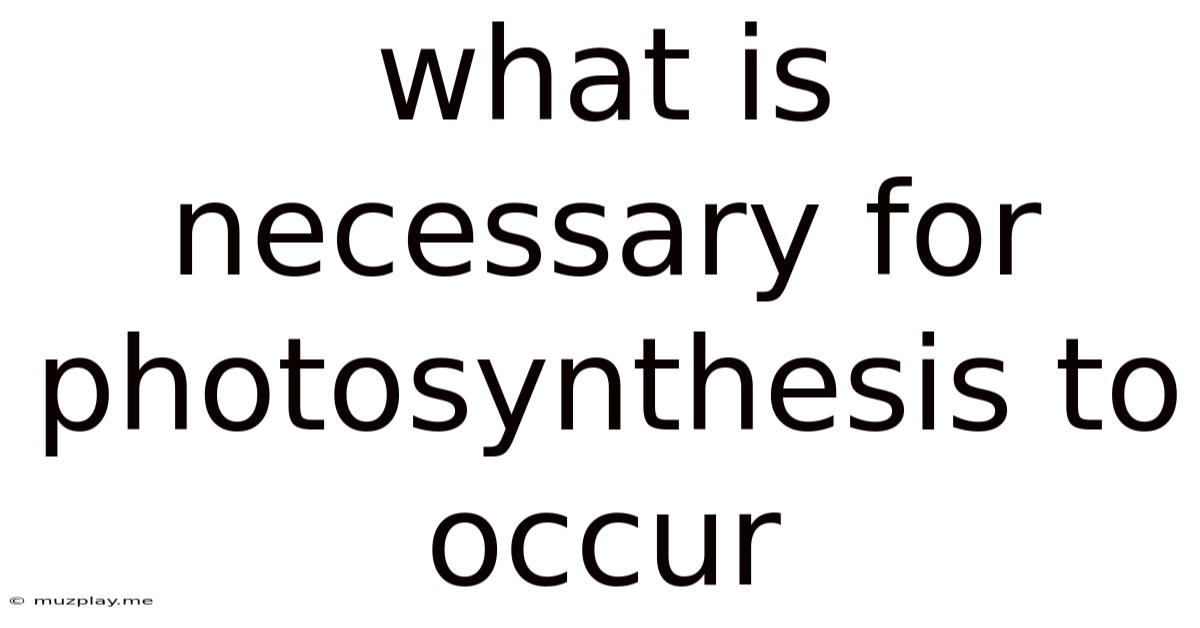 What Is Necessary For Photosynthesis To Occur