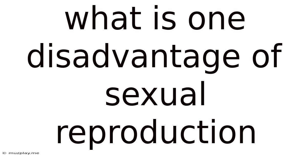 What Is One Disadvantage Of Sexual Reproduction