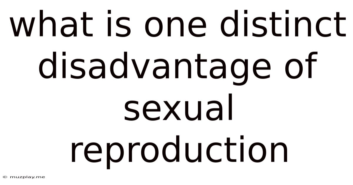 What Is One Distinct Disadvantage Of Sexual Reproduction