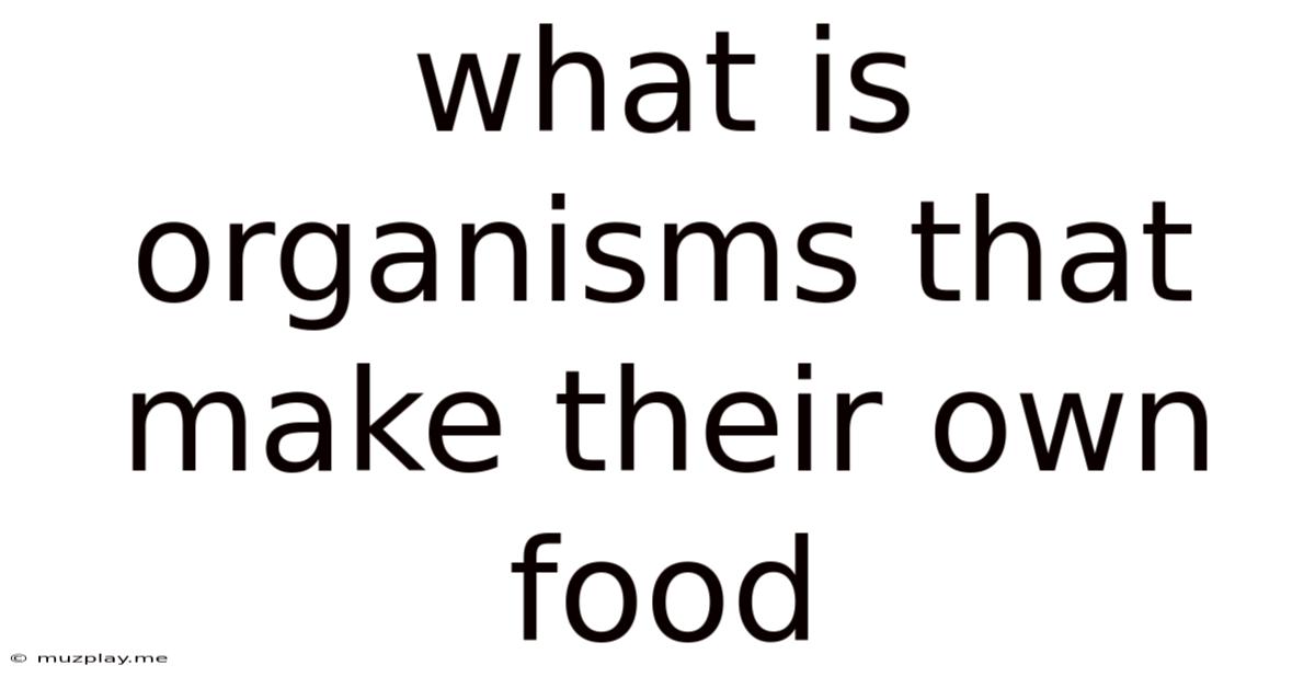 What Is Organisms That Make Their Own Food