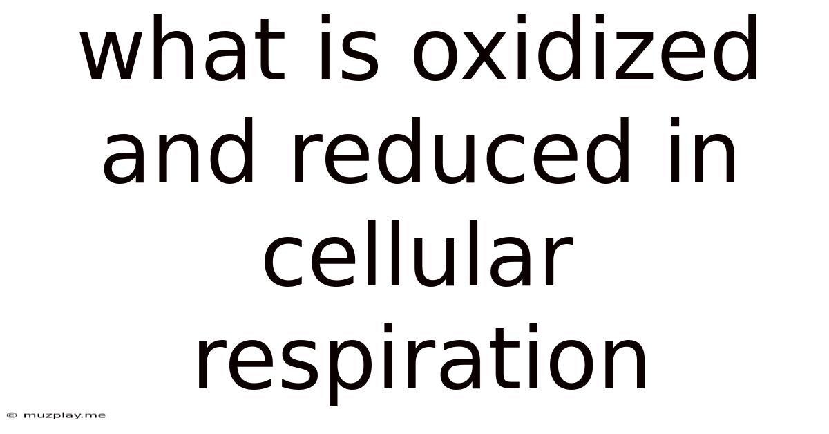 What Is Oxidized And Reduced In Cellular Respiration