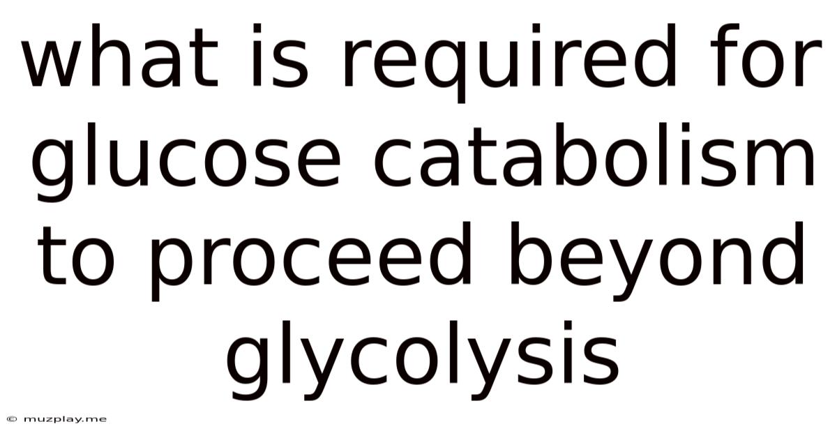 What Is Required For Glucose Catabolism To Proceed Beyond Glycolysis
