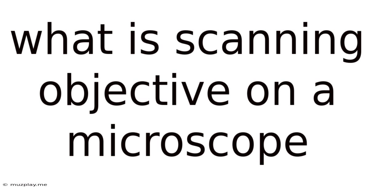 What Is Scanning Objective On A Microscope