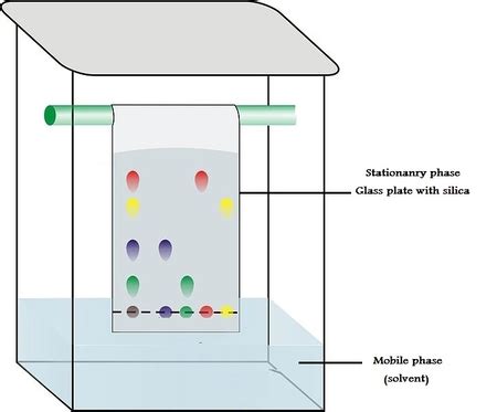 What Is Stationary Phase In Paper Chromatography