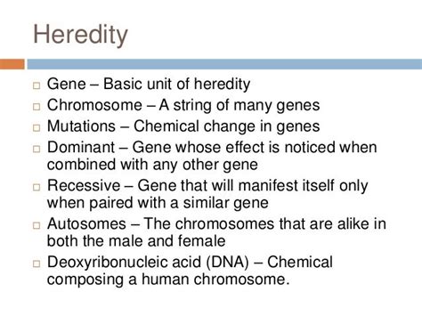 What Is The Basic Unit Of Heredity