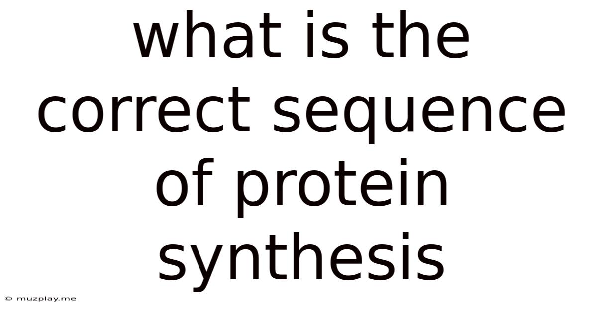 What Is The Correct Sequence Of Protein Synthesis