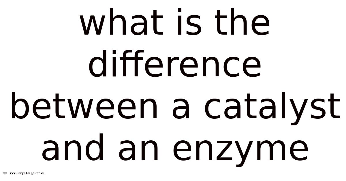 What Is The Difference Between A Catalyst And An Enzyme