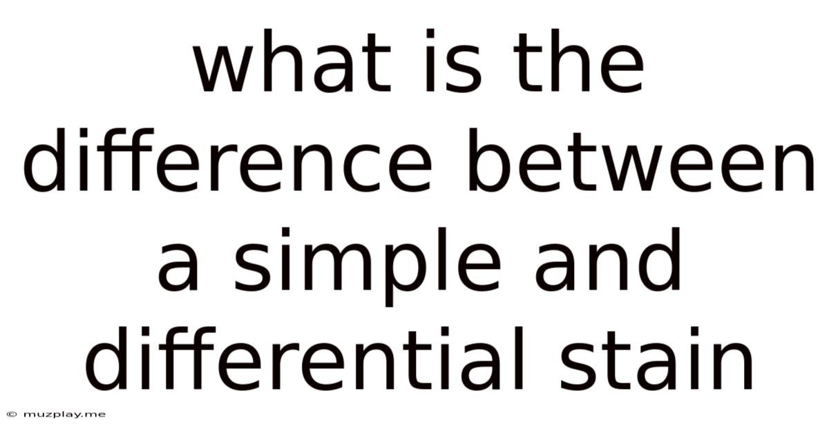 What Is The Difference Between A Simple And Differential Stain