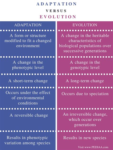 What Is The Difference Between Adaptation And Evolution