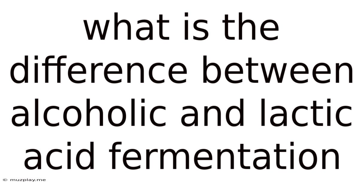 What Is The Difference Between Alcoholic And Lactic Acid Fermentation