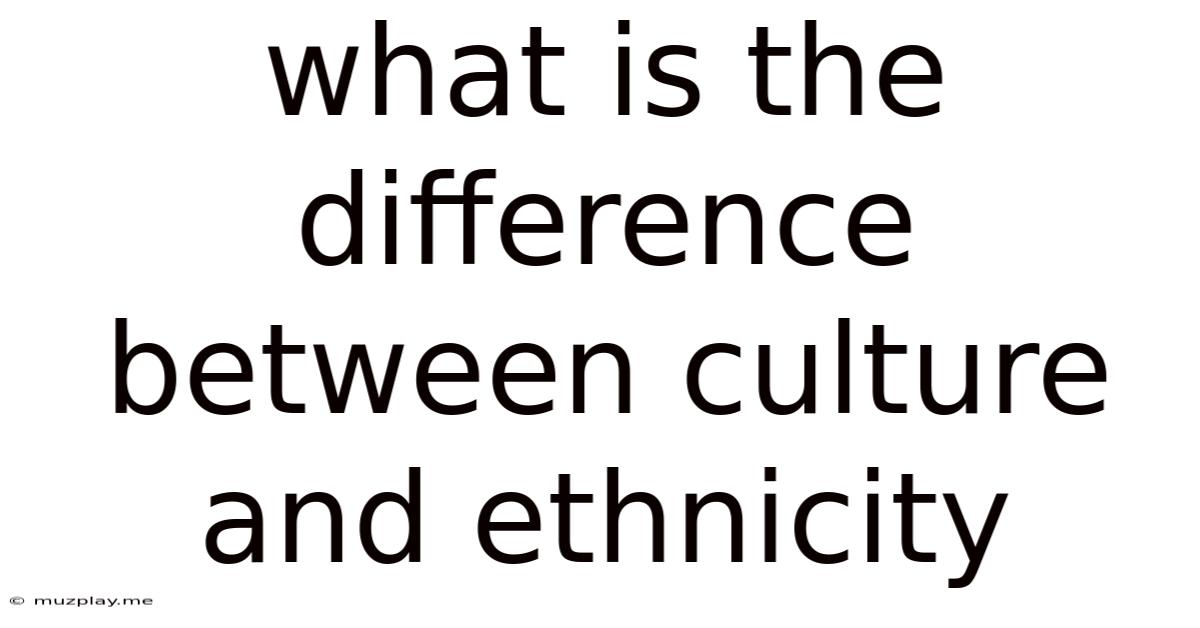 What Is The Difference Between Culture And Ethnicity