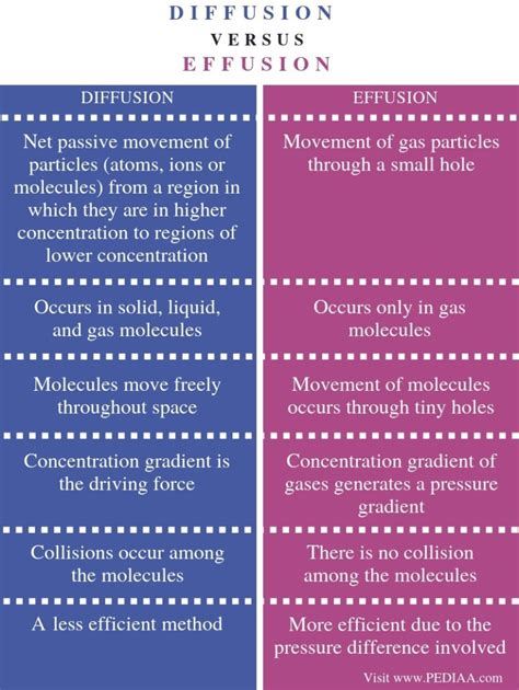 What Is The Difference Between Effusion And Diffusion